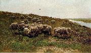 Mauve, Anton Sheep on a dyke oil painting artist